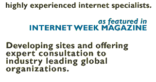 highly experienced internet specialists.
